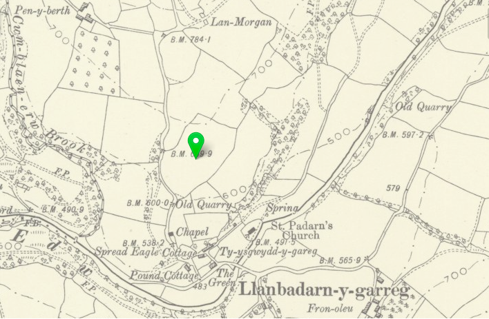 Cae Sayce and Gwynne